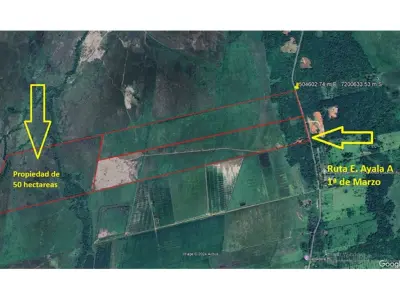 Campo en venta en Eusebio Ayala: 50 hectáreas sobre asfalto