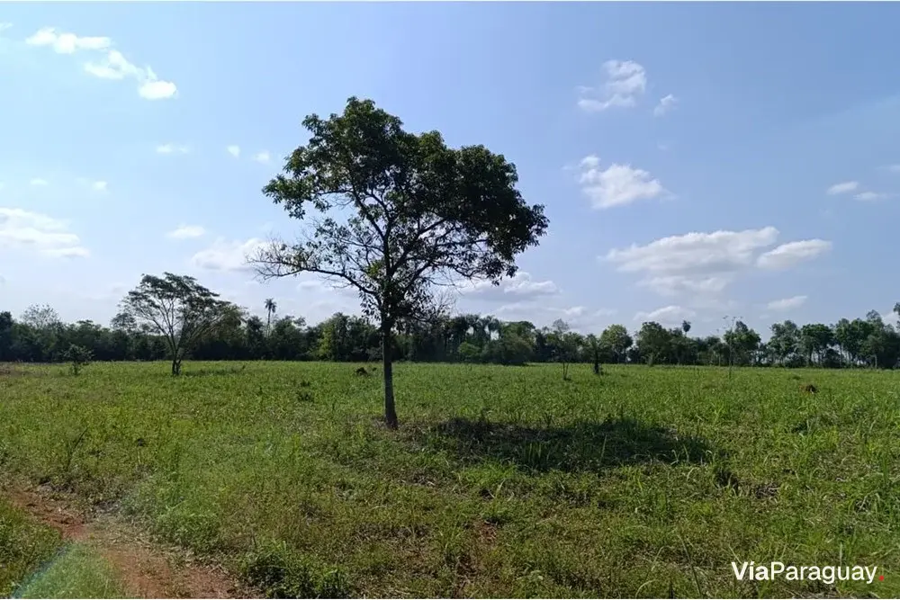 Campo en venta en Guarambaré, Central - 14.999 m²