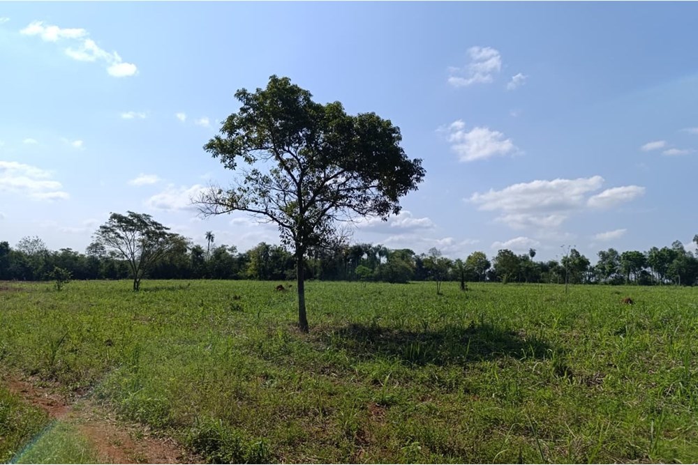 Campo en venta en Guarambaré, Central - 14.999 m²