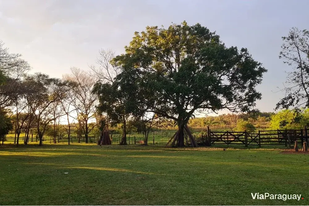 Land for sale in San Javier, Misiones