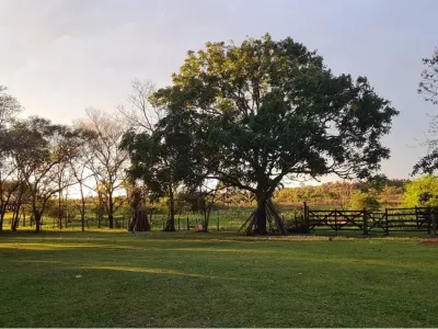 Land for sale in San Javier, Misiones