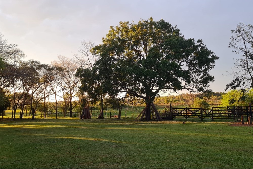 Land for sale in San Javier, Misiones