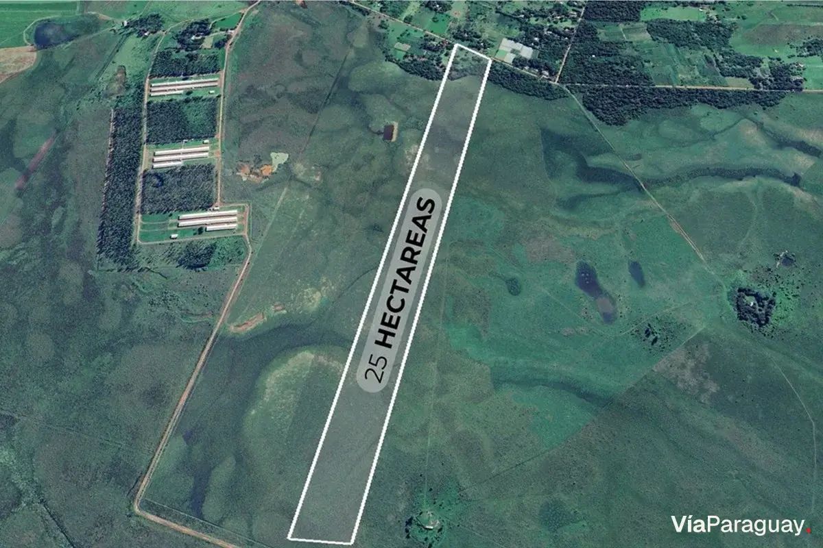 Campo à venda em San José de los Arroyos, Caaguazú