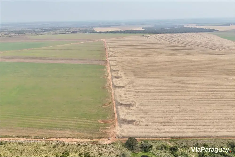 Campo en venta en San Pedro, 1030 hectáreas mecanizadas