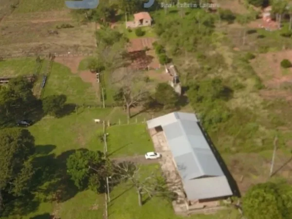 Campo Formado de 31 Hectares para Alugar, Yhovy, Itá