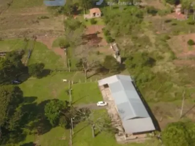 Campo Formado de 31 Hectares para Alugar, Yhovy, Itá
