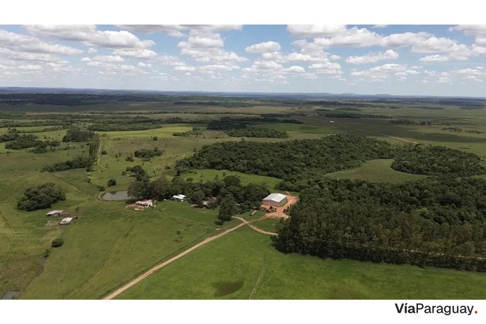 Campo ganadero en venta en Dolores, Caazapá - 2.233 has