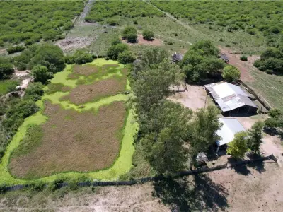 Campo ganadero en venta en Presidente Hayes, 3.749 ha