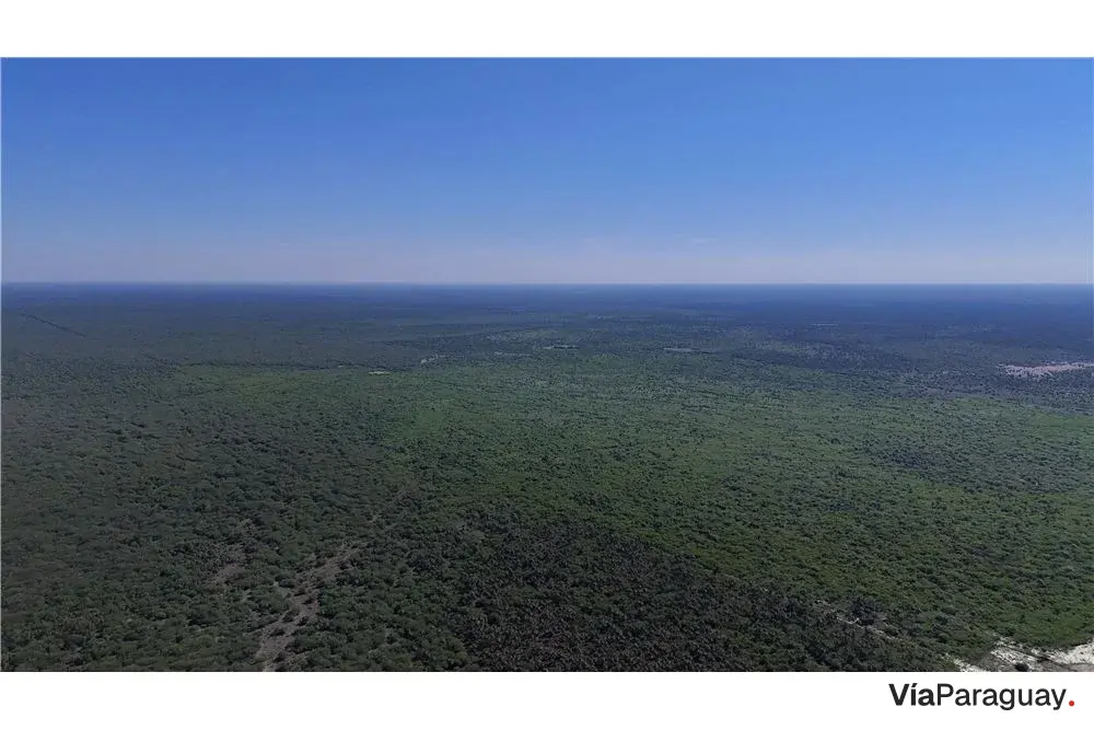 Fazenda de gado à venda em Presidente Hayes, 5.000 ha