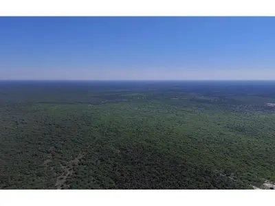 Fazenda de gado à venda em Presidente Hayes, 5.000 ha