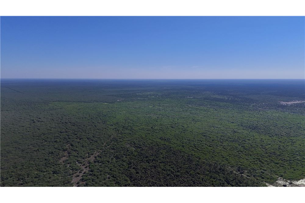 Fazenda de gado à venda em Presidente Hayes, 5.000 ha