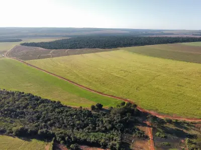 Fazenda produtiva de 1.001 hectares em Curuguaty