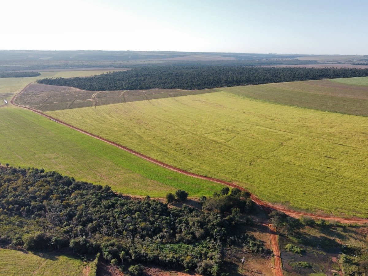 Fazenda produtiva de 1.001 hectares em Curuguaty