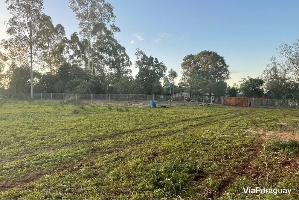Productive 6.1 ha farm for sale in Trinidad, Itapúa
