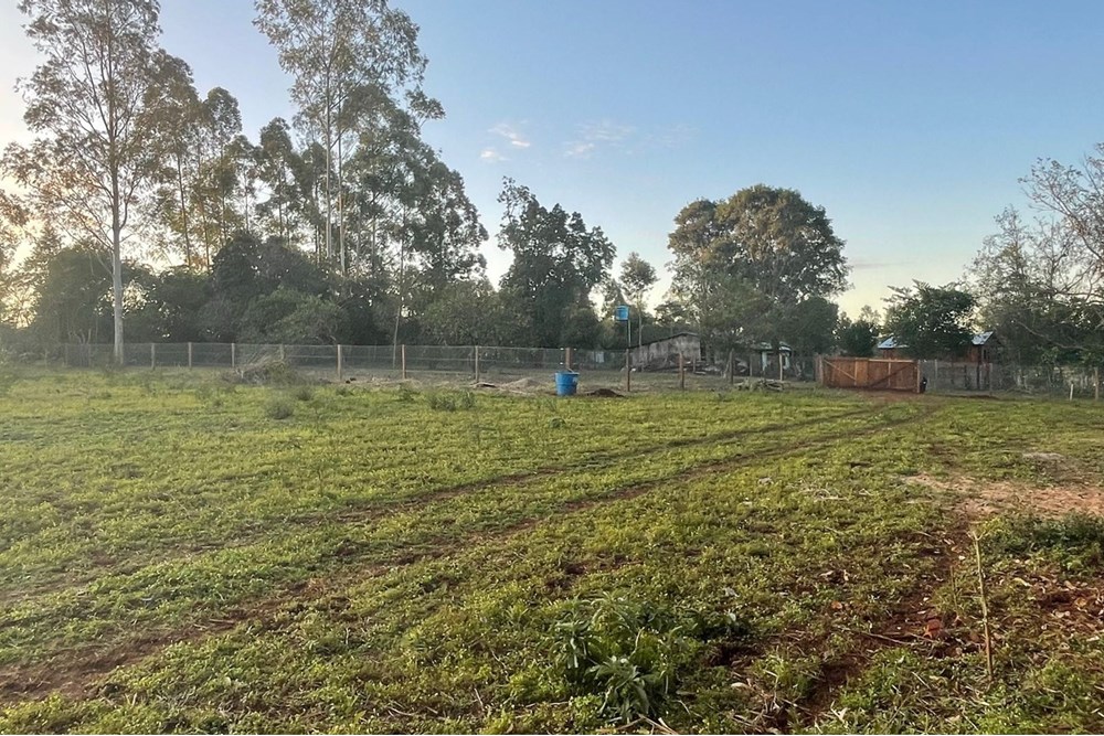 Fazenda produtiva de 6,1 ha à venda em Trinidad, Itapúa