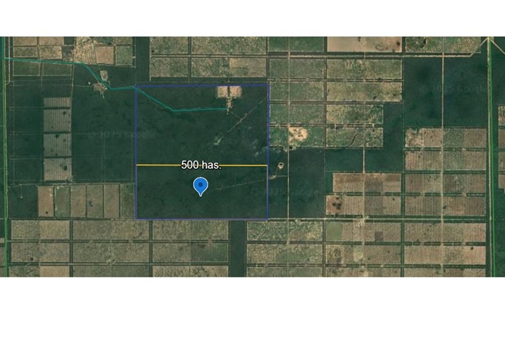 Campo virgem de 500 ha à venda em Boquerón, Chaco