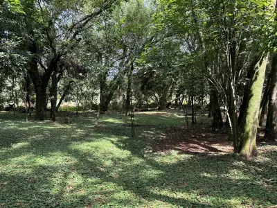Casa à venda com 1 ha em Potrero, Itauguá