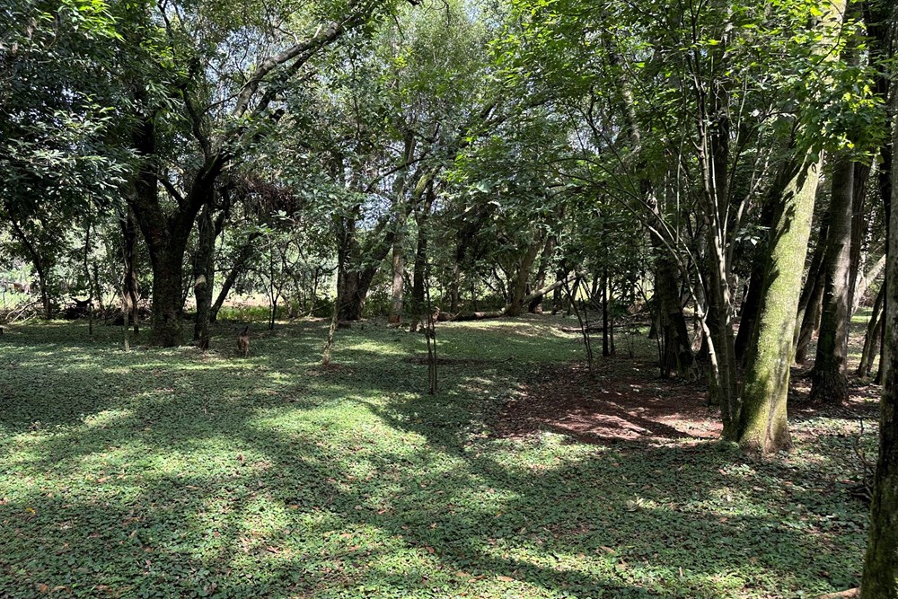 Casa en venta con 1 ha en Potrero, Itauguá