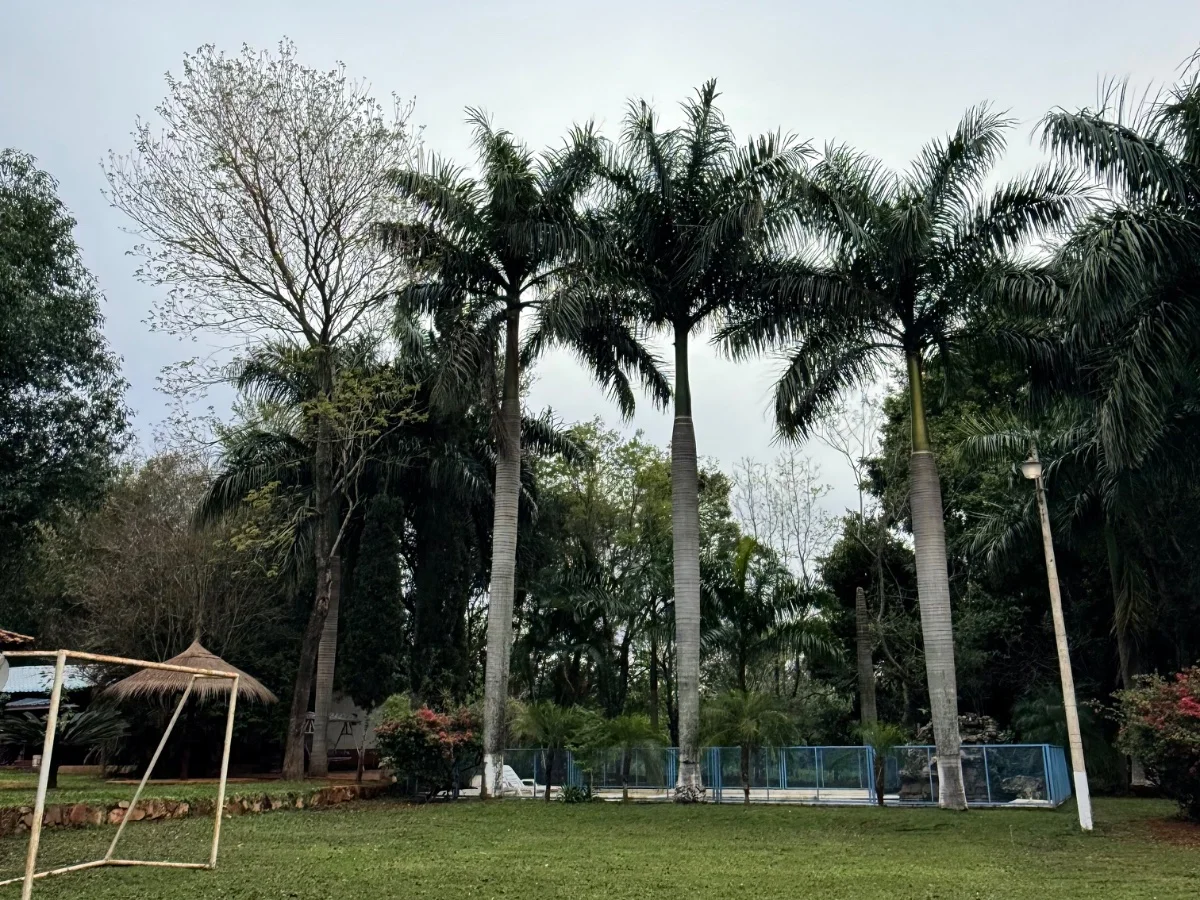 Casa à venda em Itá com piscina, churrasqueira e 1 ha