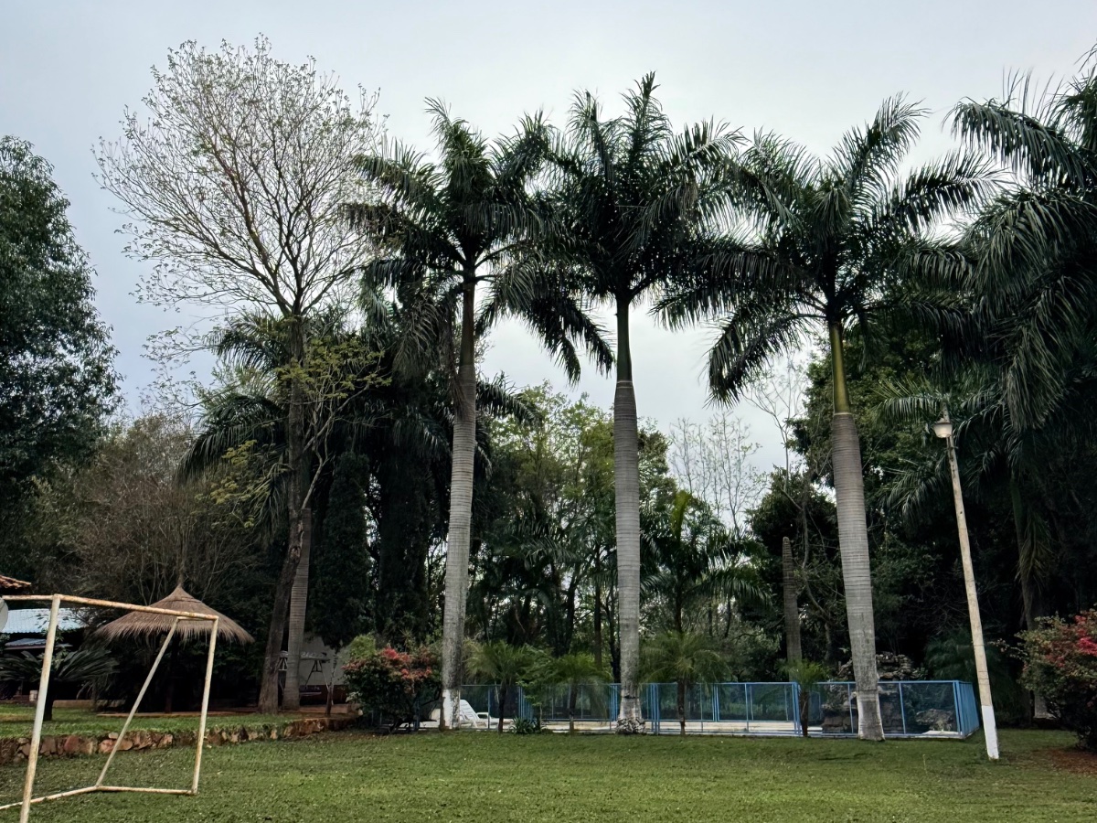 House for sale in Itá with pool, barbecue areas and 1 hectare