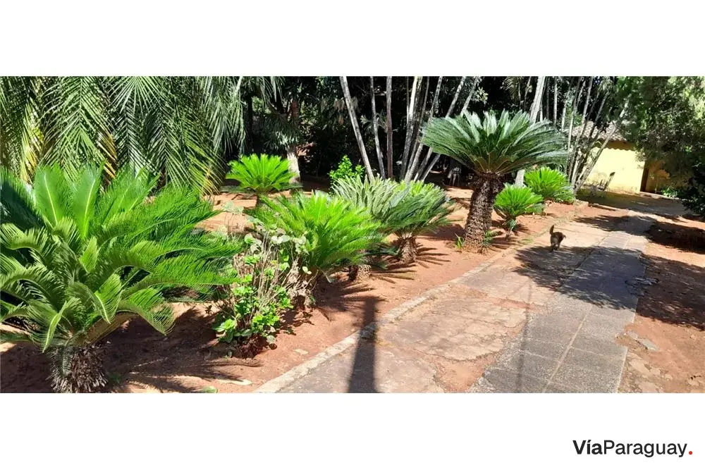 Casa à venda em Itauguá com amplo pátio
