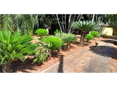 Casa à venda em Itauguá com amplo pátio