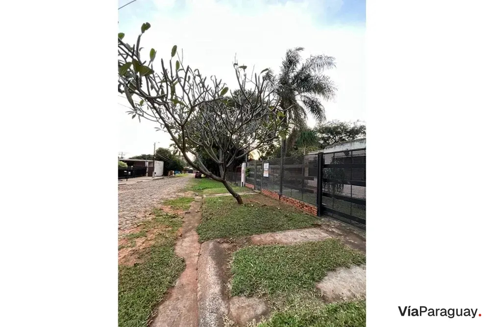 House for sale in Laurelty, Luque
