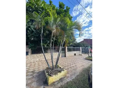 Casa en venta en Mariano Roque Alonso con terreno amplio