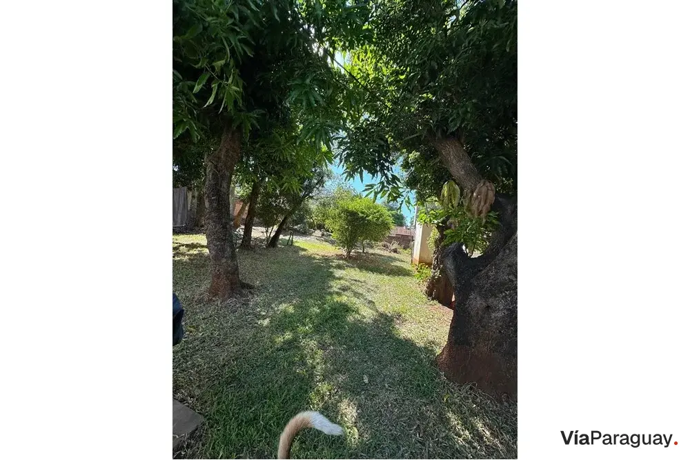Casa à venda em Obrero, Encarnación: 3 quartos