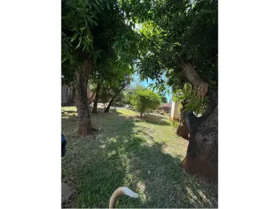 Casa à venda em Obrero, Encarnación: 3 quartos