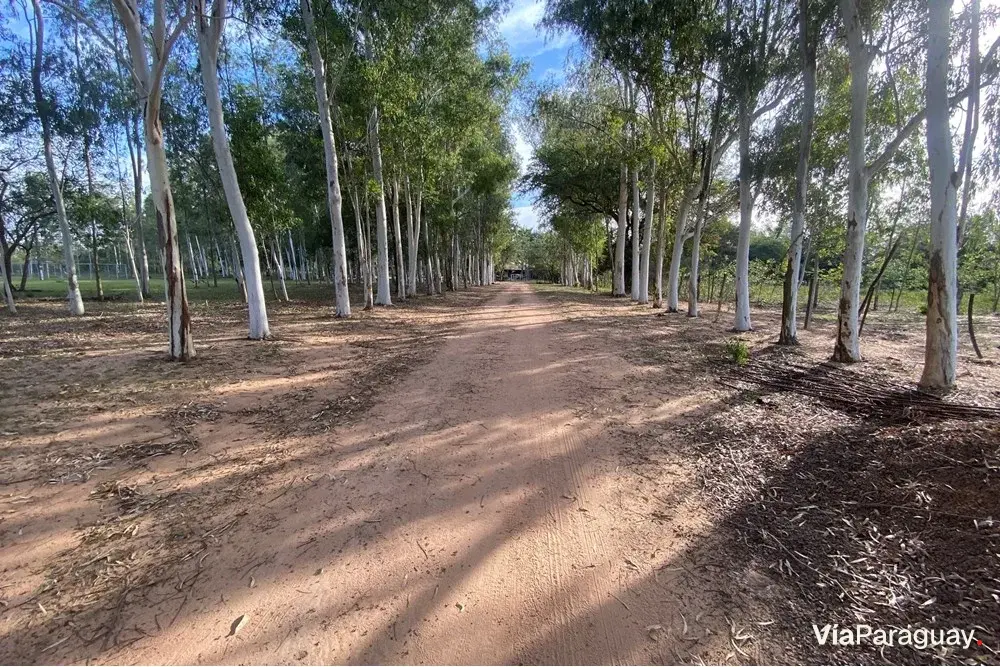 House and 28-hectare land for sale in Itá