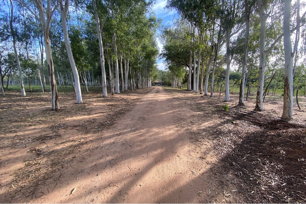 Casa e terreno de 28 hectares à venda em Itá