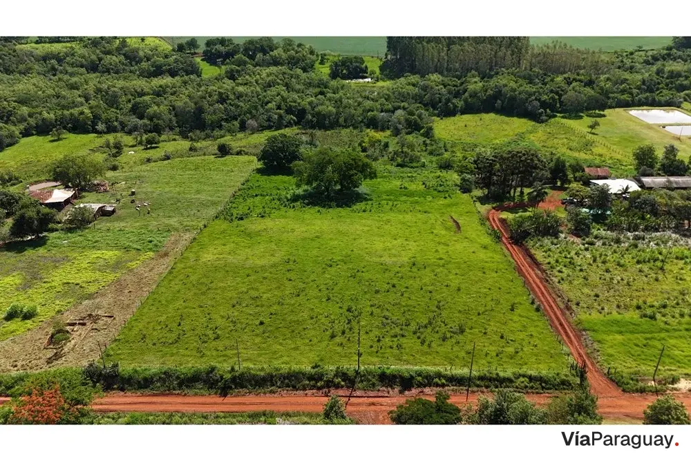 Chacra for sale in Cerro Largo, Alto Paraná