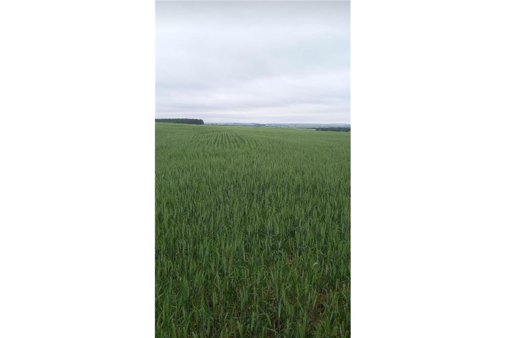 Chacra agrícola en venta en Cambyretá, Itapúa