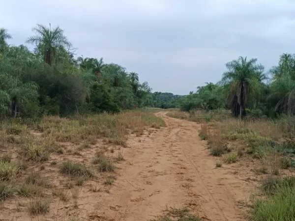 Set of 4 Plots for Sale in Costa Pucú, Caacupé
