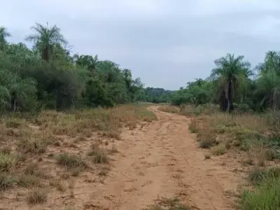 Set of 4 Plots for Sale in Costa Pucú, Caacupé 1
