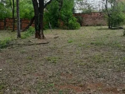Four Plots for Sale in Villa Bonita, Villa Elisa 1