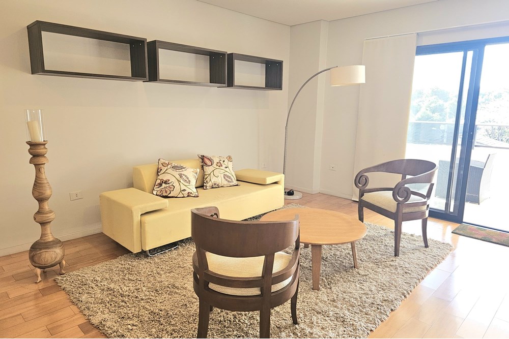 Furnished apartment for rent in Carmelitas, 3 bedrooms