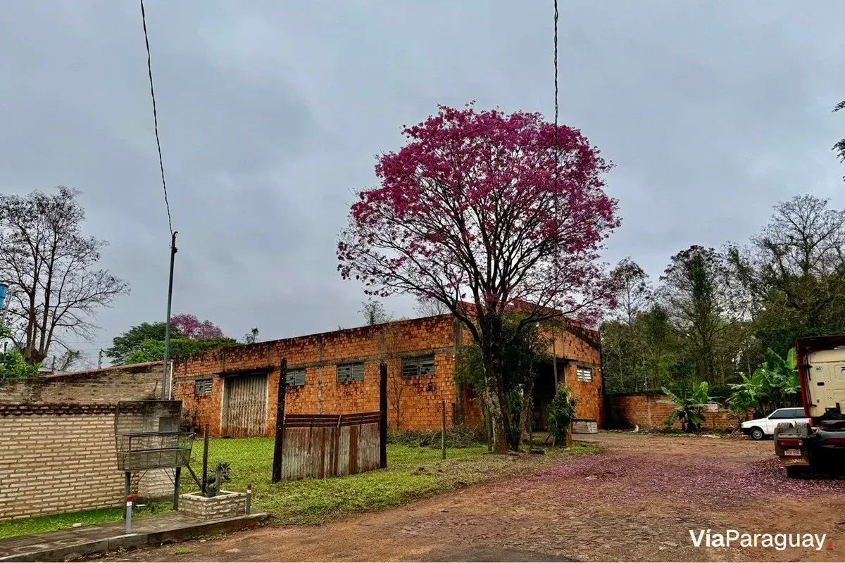 Depósito industrial en venta en San Isidro, Ciudad del Este
