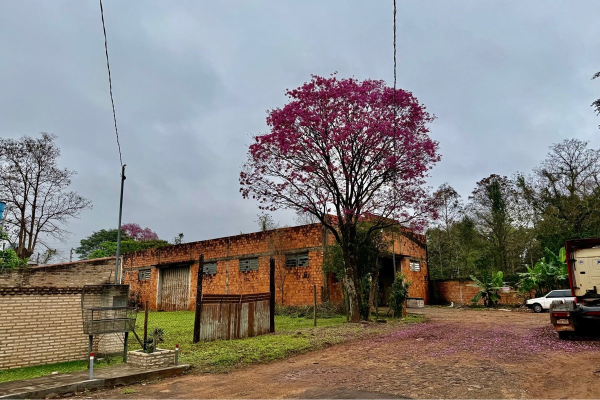 Depósito industrial en venta en San Isidro, Ciudad del Este