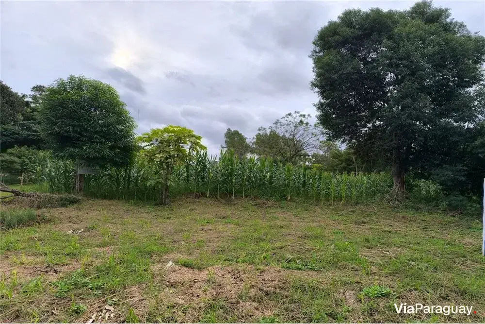 Two lots for sale in Capitán Miranda Centro
