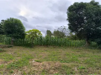 Two lots for sale in Capitán Miranda Centro