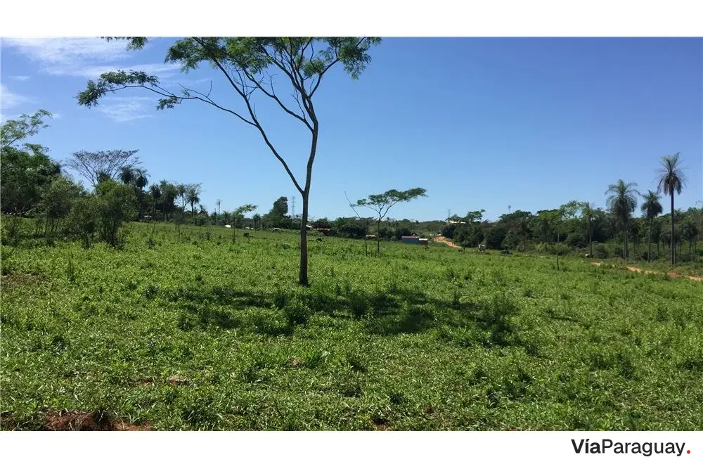 Two lots for sale in Julián Augusto Saldivar