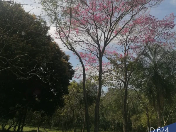 Dos terrenos juntos en venta en Loma Grande, Cordillera