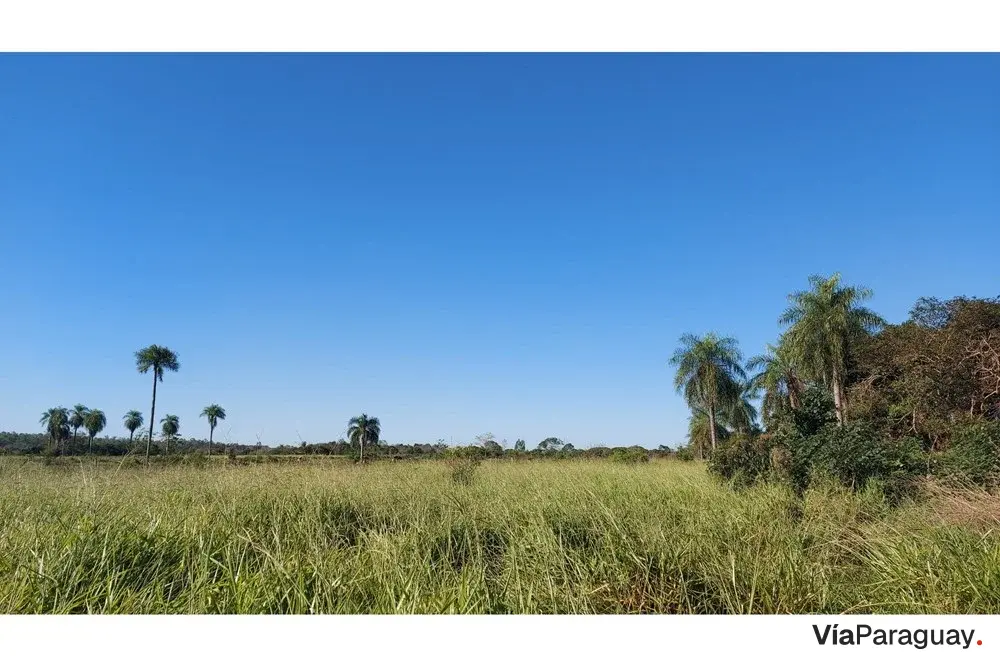 Cuatro terrenos en venta en Km 9 Acaray, Ciudad del Este
