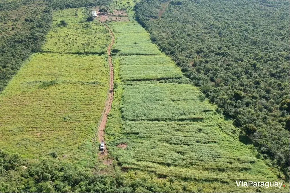 Equipped agricultural estate for rent in Caacupé