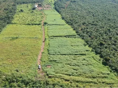 Equipped agricultural estate for rent in Caacupé