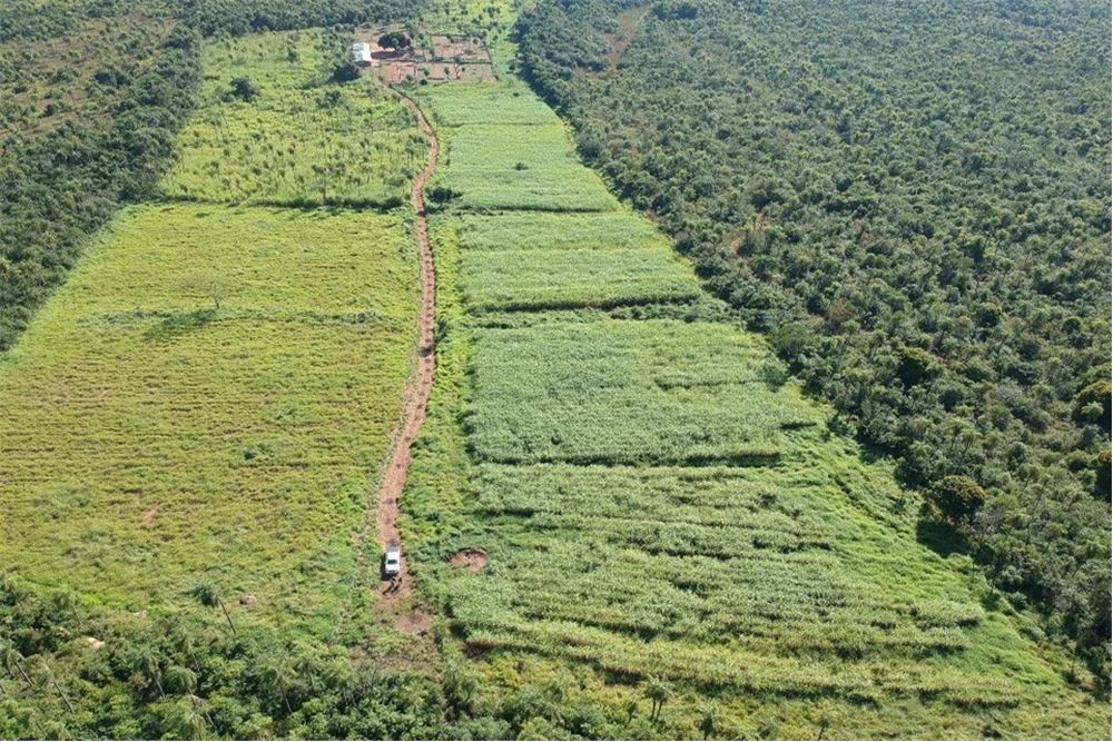Equipped agricultural estate for rent in Caacupé