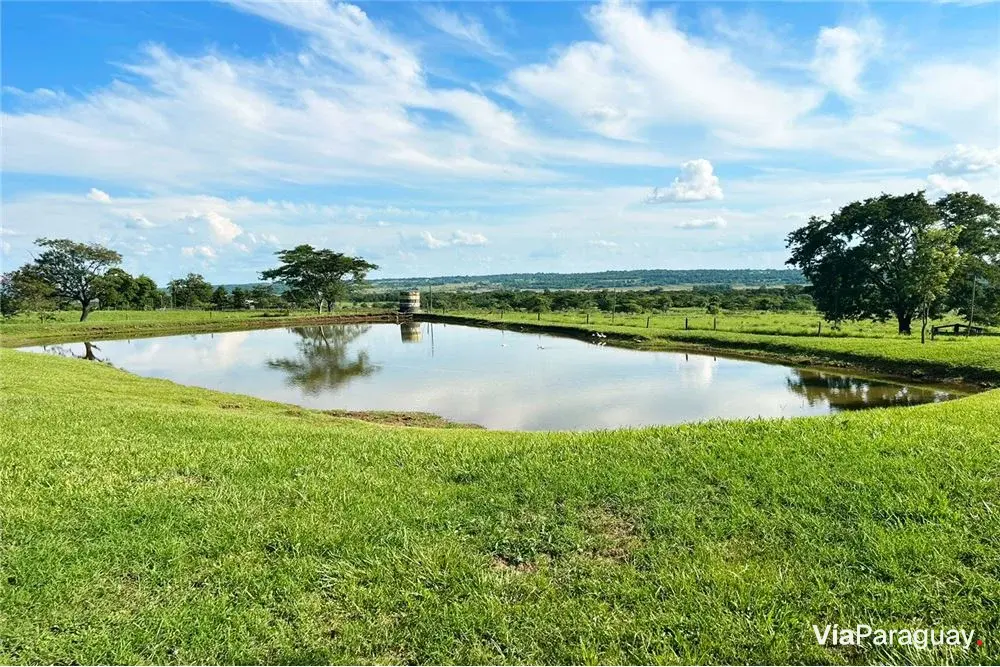 Estancia de 100 hectáreas en venta en Ybycuí