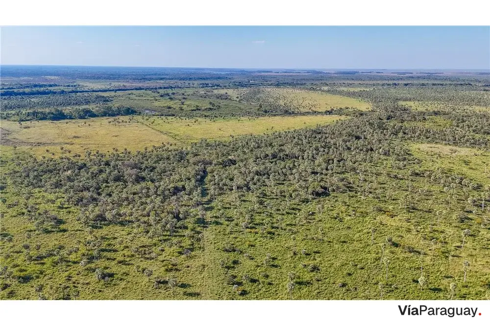 Fazenda de 1.040 hectares à venda em Arroyos y Esteros